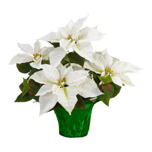 6" Poinsettias - Red and White