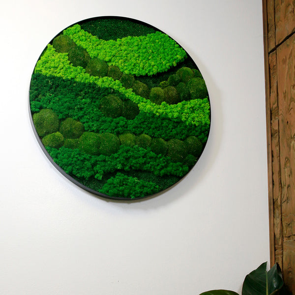 Framed Round Moss Wall Art - 4 Sizes