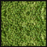 Biomontage Forest Green Reindeer Moss Panel with Gloss Black Frame, Available in 12"x24", 24"x24", or 24"x48"