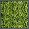 BioMontage Preserved Moss Panel