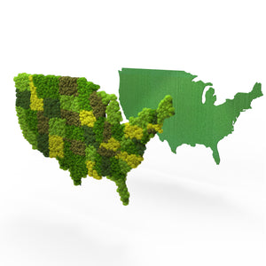 US Map Moss Wall - Moss Wall Art