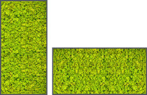 Biomontage Lime Green Reindeer Moss Panel with Anthracite Frame. Available in 12"x24' , 24"x24" or 24"x48"