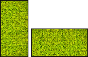 Biomontage Lime Green Reindeer Moss Panel with Gloss Black Frame. Available in 12"x24' , 24"x24" or 24"x48"
