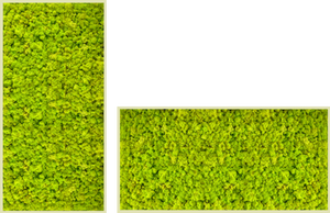 Biomontage Lime Green Moss Panel with Gloss White Frame, Available in 12"x24", 24"x24", or 24"x48"