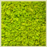 Biomontage Lime Green Reindeer Moss Panel with White Frame, Available in 12"x24", 24"x24", or 24"x48"