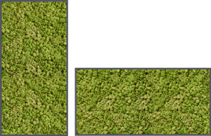 Biomontage Medium Green Reindeer Moss Panel with Anthracite Frame. Available in 12"x24' , 24"x24" or 24"x48"