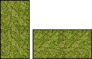 Biomontage Medium Green Reindeer Moss Panel with Gloss Black Frame. Available in 12"x24' , 24"x24" or 24"x48"