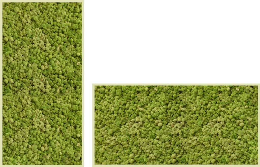 Artificial Plants Green Moss Grass Panel, For Decoration, Size: 12