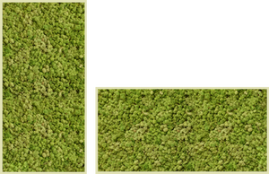 Biomontage Medium Green Reindeer Moss Panel with Gloss White Frame. Available in 12"x24' , 24"x24" or 24"x48"