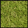 Biomontage Medium Green Reindeer Moss Panel with Gloss Black Frame, Available in 12"x24", 24"x24", or 24"x48"