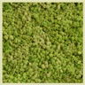 Biomontage Medium Green Reindeer Moss Panel with White Frame, Available in 12"x24", 24"x24", or 24"x48"