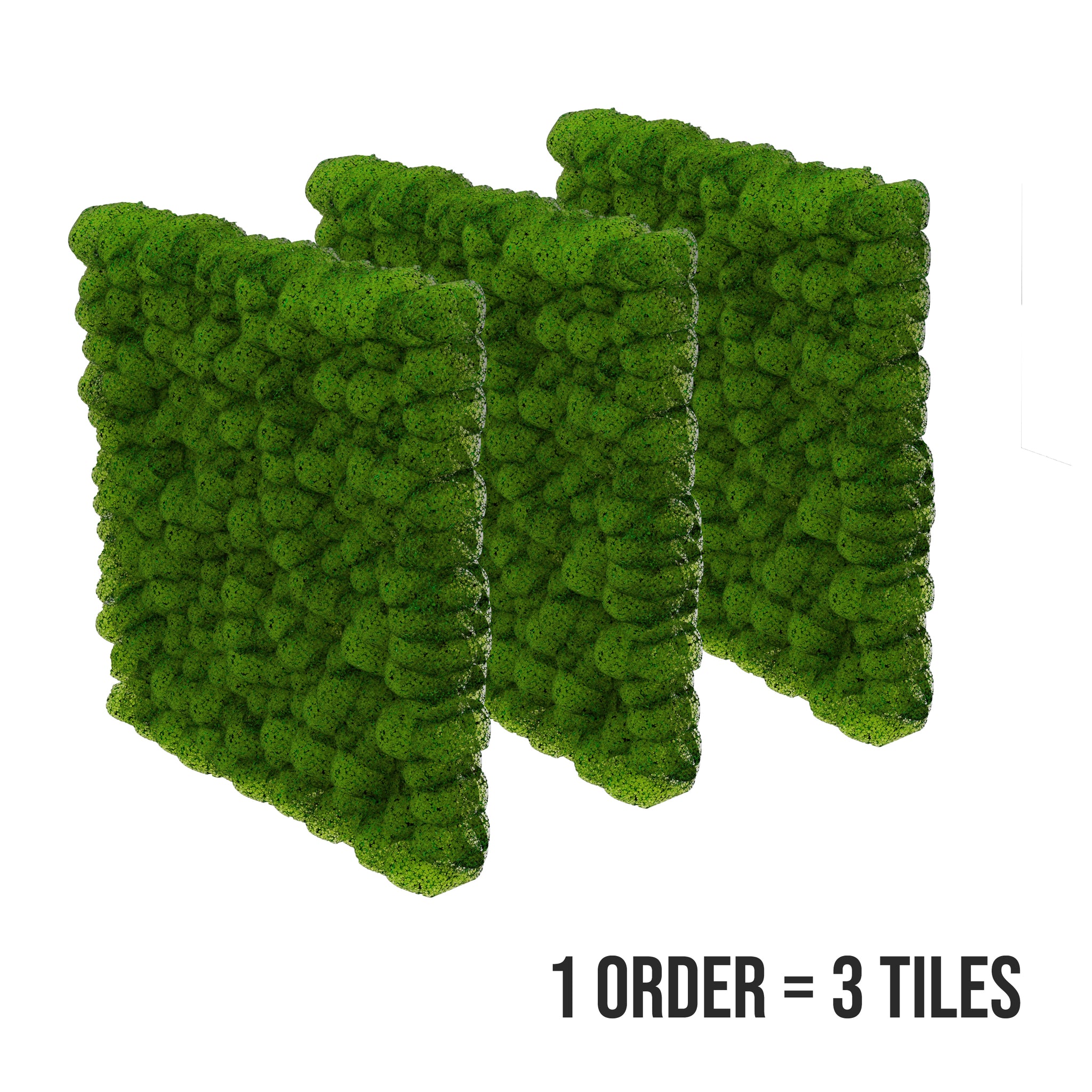 Preserved Moss Wall - Rectangle - Ready to Order - Shop Green Oasis