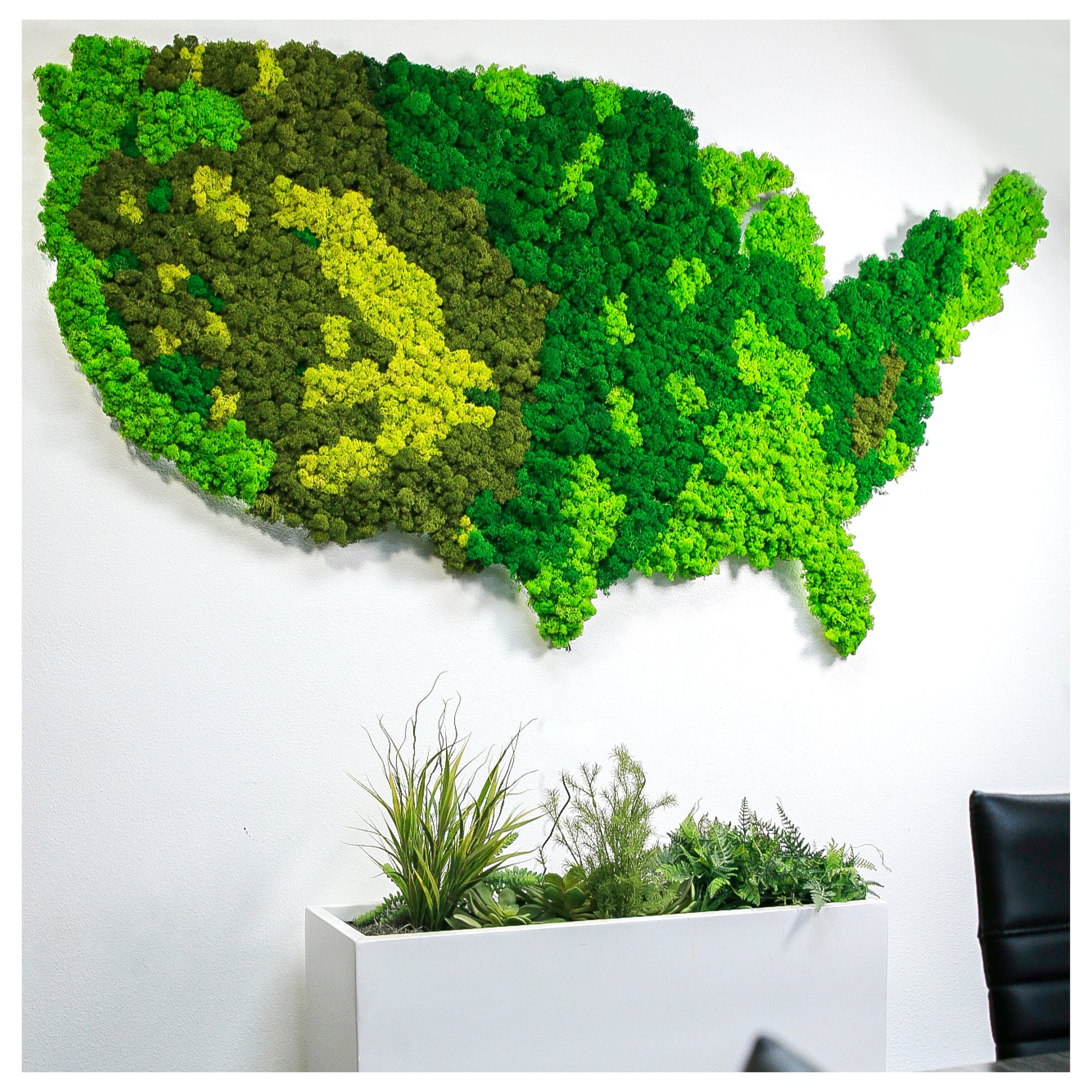 US Map Moss Wall - Moss Wall Art - Shop Green Oasis