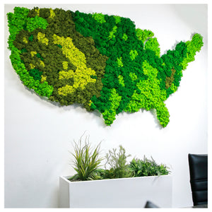 US Map Moss Wall - Moss Wall Art